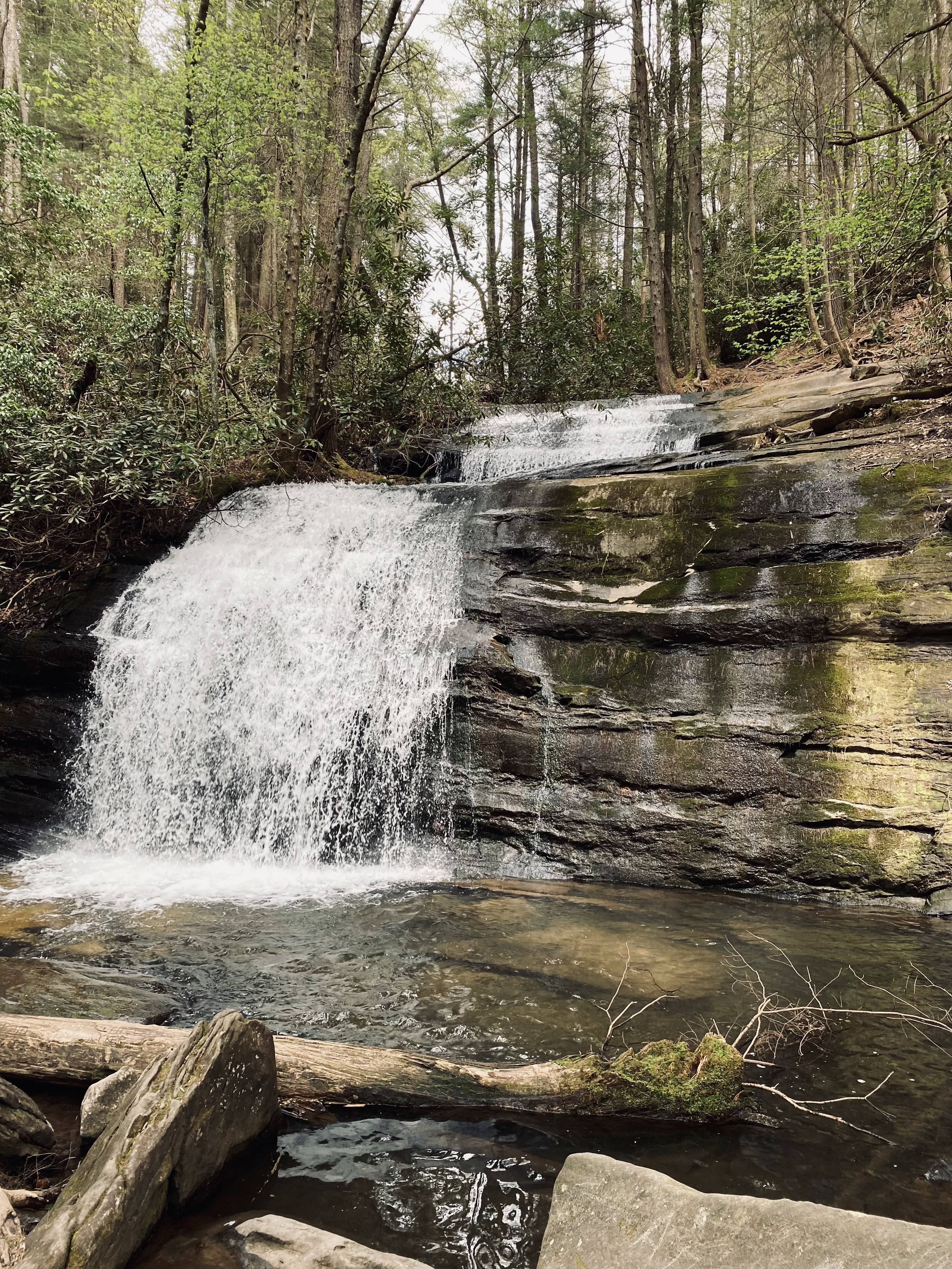 A tranquil waterfall cascading over textured rocks into a calm pool, surrounded by lush green trees and underbrush.