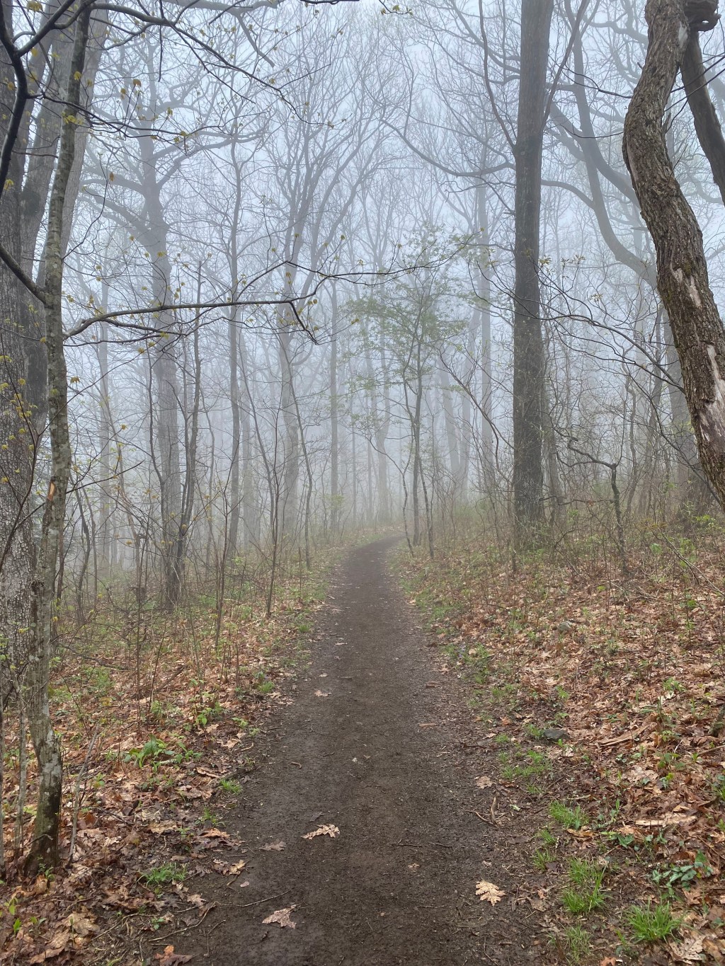The trail went on…